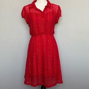 Ms. Bella D Mesh Shirt Dress